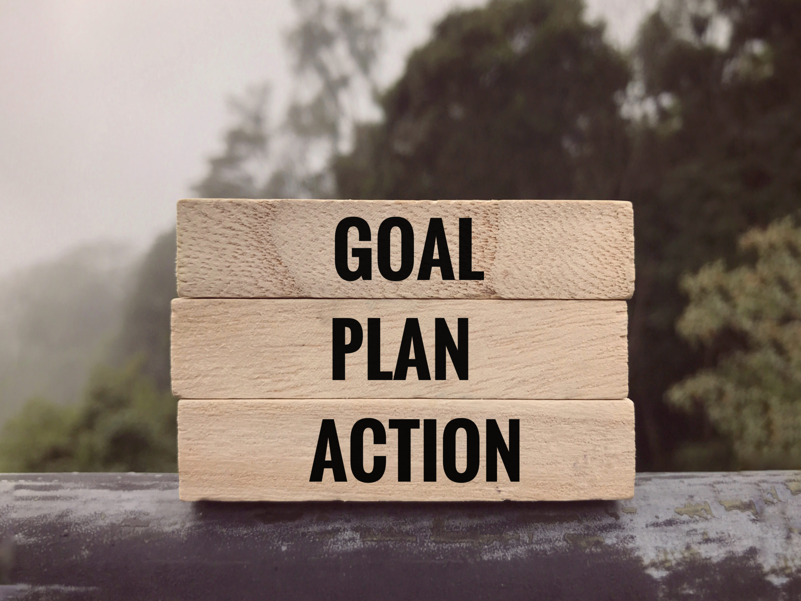 article review goal setting